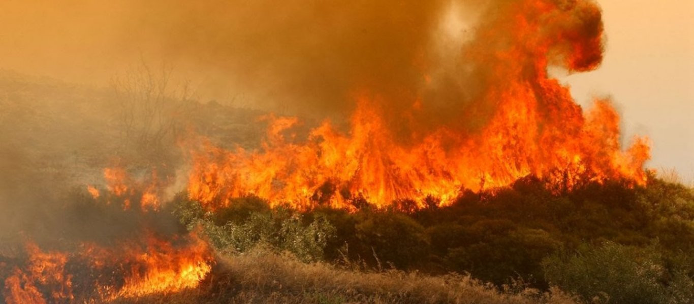 Πυρκαγιά σε δασική έκταση στην Κεφαλονιά